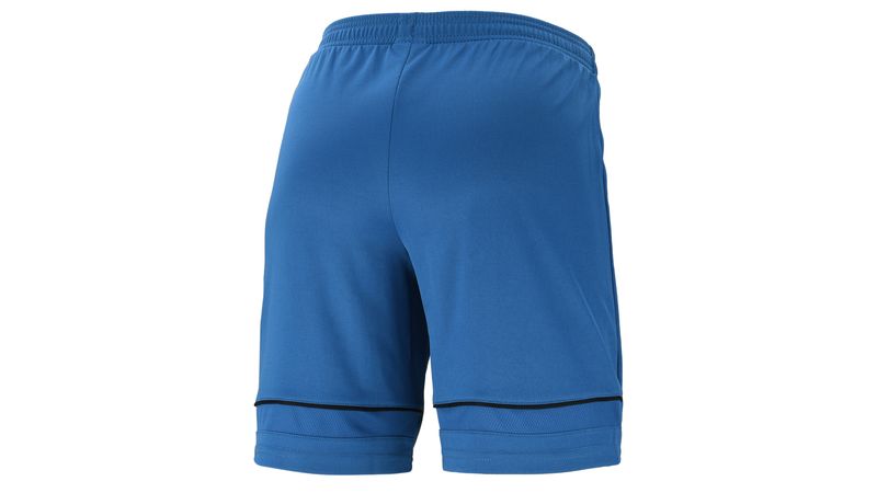 Royal blue deals shorts nike