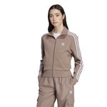Color--TRACE-BROWN-Talle--XS